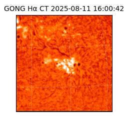 gong - 2025-08-11T16:00:42