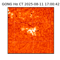 gong - 2025-08-11T17:00:42