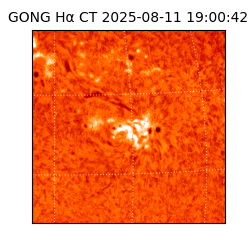 gong - 2025-08-11T19:00:42