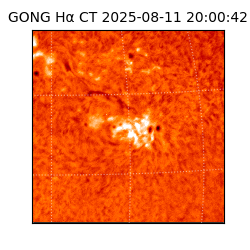 gong - 2025-08-11T20:00:42