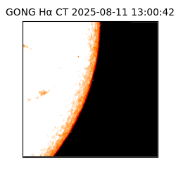 gong - 2025-08-11T13:00:42