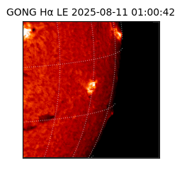 gong - 2025-08-11T01:00:42