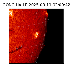 gong - 2025-08-11T03:00:42