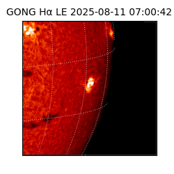 gong - 2025-08-11T07:00:42