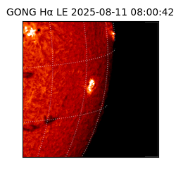 gong - 2025-08-11T08:00:42