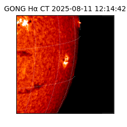 gong - 2025-08-11T12:14:42