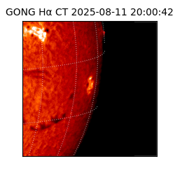 gong - 2025-08-11T20:00:42