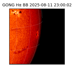 gong - 2025-08-11T23:00:02