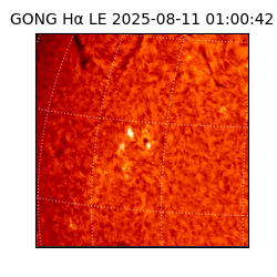 gong - 2025-08-11T01:00:42