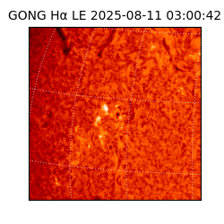 gong - 2025-08-11T03:00:42