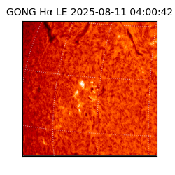 gong - 2025-08-11T04:00:42