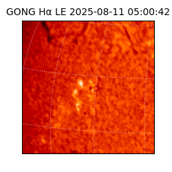 gong - 2025-08-11T05:00:42