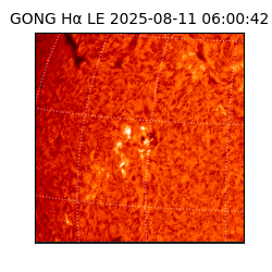 gong - 2025-08-11T06:00:42