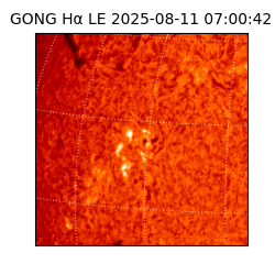 gong - 2025-08-11T07:00:42