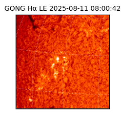 gong - 2025-08-11T08:00:42