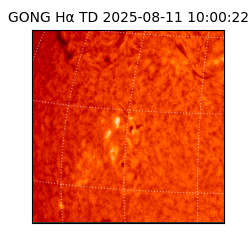 gong - 2025-08-11T10:00:22