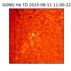 gong - 2025-08-11T11:00:22