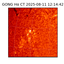 gong - 2025-08-11T12:14:42