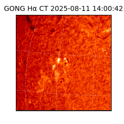 gong - 2025-08-11T14:00:42