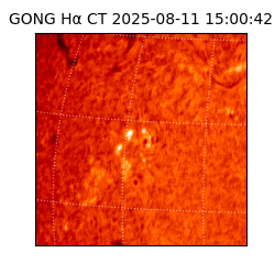 gong - 2025-08-11T15:00:42