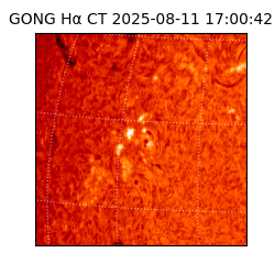 gong - 2025-08-11T17:00:42