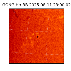 gong - 2025-08-11T23:00:02