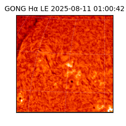 gong - 2025-08-11T01:00:42