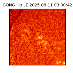 gong - 2025-08-11T03:00:42