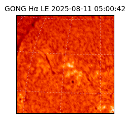 gong - 2025-08-11T05:00:42