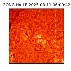 gong - 2025-08-11T06:00:42