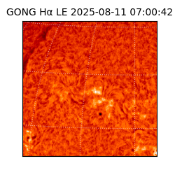 gong - 2025-08-11T07:00:42