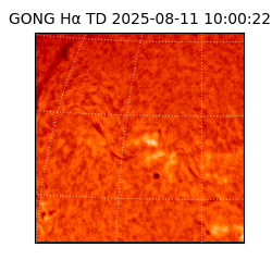 gong - 2025-08-11T10:00:22