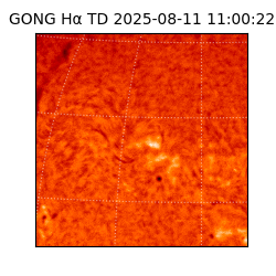 gong - 2025-08-11T11:00:22