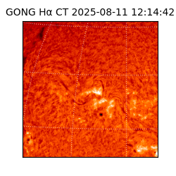 gong - 2025-08-11T12:14:42