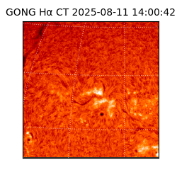 gong - 2025-08-11T14:00:42