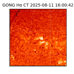 gong - 2025-08-11T16:00:42