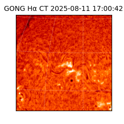 gong - 2025-08-11T17:00:42