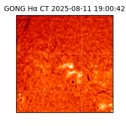 gong - 2025-08-11T19:00:42