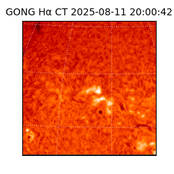 gong - 2025-08-11T20:00:42