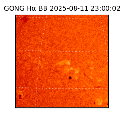 gong - 2025-08-11T23:00:02