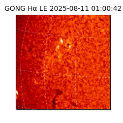 gong - 2025-08-11T01:00:42