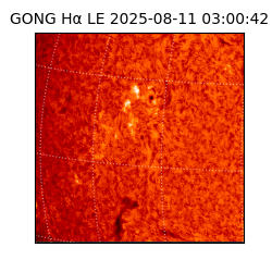 gong - 2025-08-11T03:00:42