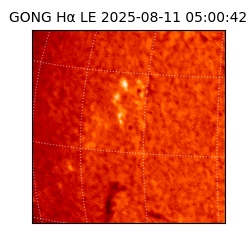 gong - 2025-08-11T05:00:42