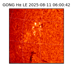 gong - 2025-08-11T06:00:42