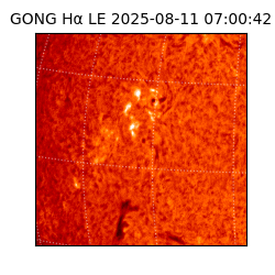 gong - 2025-08-11T07:00:42