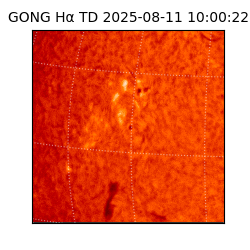 gong - 2025-08-11T10:00:22