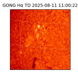 gong - 2025-08-11T11:00:22