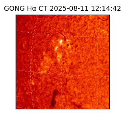 gong - 2025-08-11T12:14:42