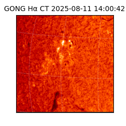 gong - 2025-08-11T14:00:42