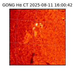 gong - 2025-08-11T16:00:42